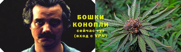 сатива Аркадак