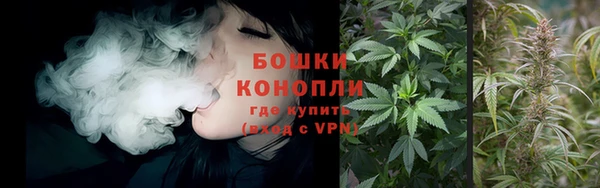 сатива Аркадак