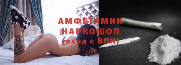 сатива Аркадак