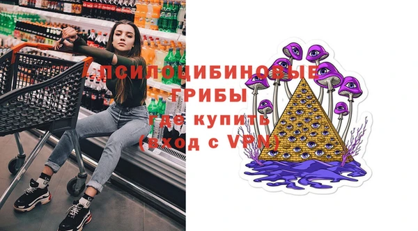 прущие крисы Арсеньев