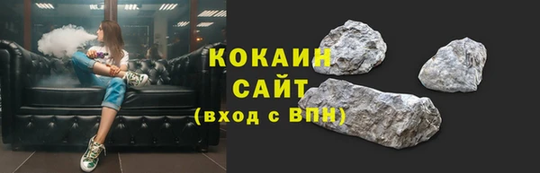 сатива Аркадак