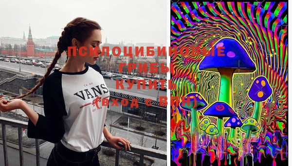 прущие крисы Арсеньев