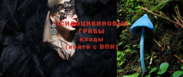 сатива Аркадак