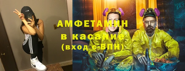 сатива Аркадак